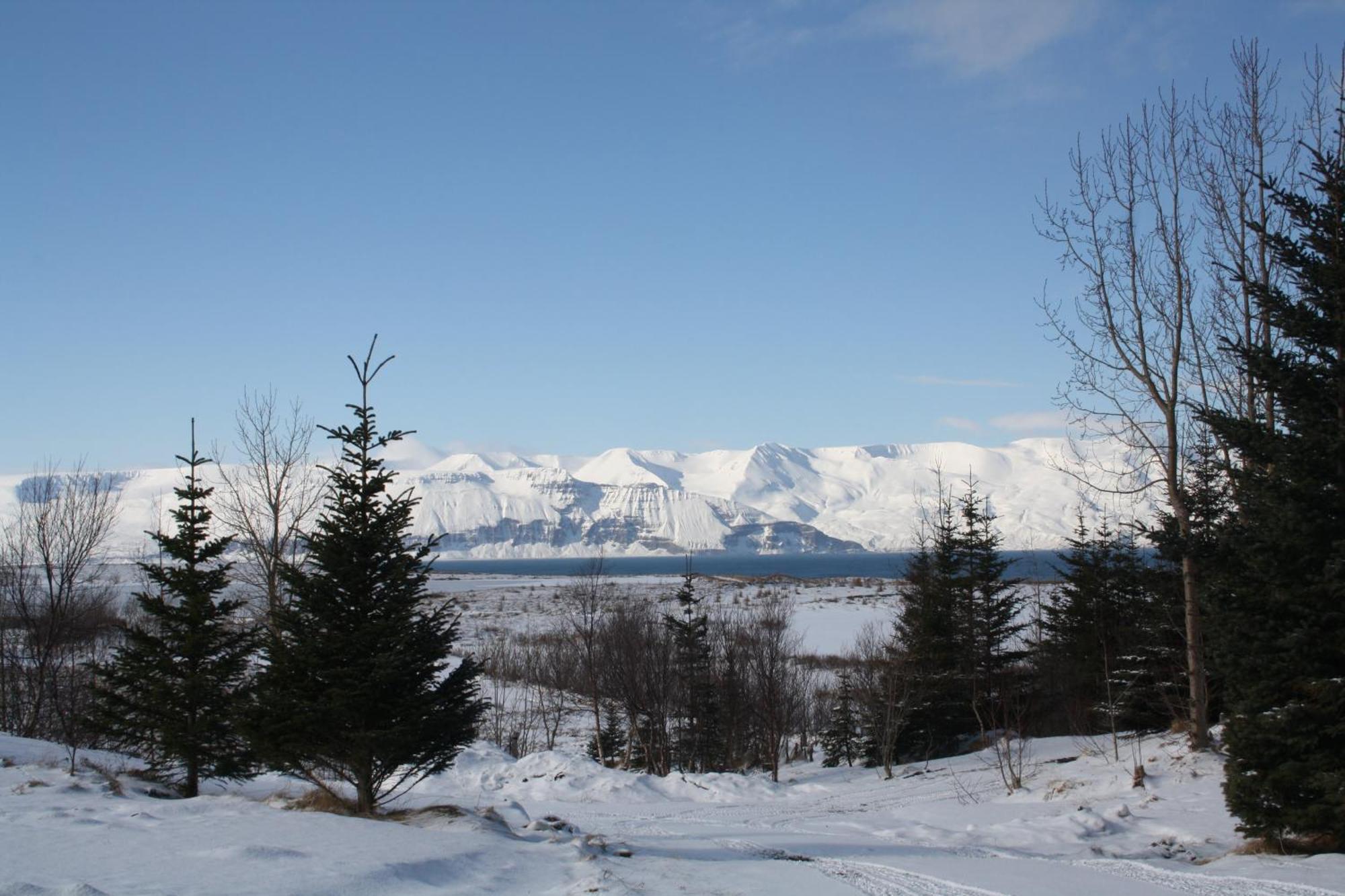 Kaldbaks-Kot Cottages Husavik Exterior photo