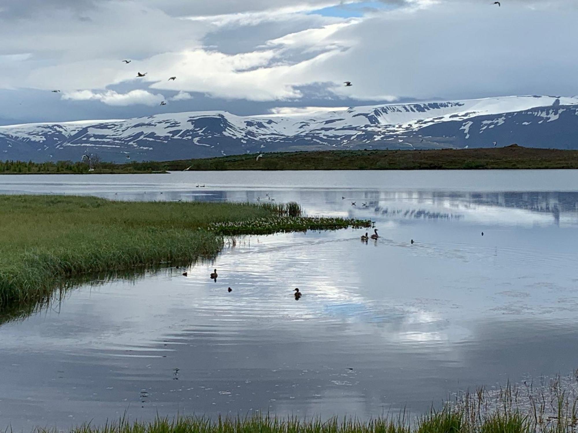 Kaldbaks-Kot Cottages Husavik Exterior photo